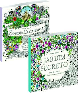 O Mistério da Floresta Encantada eBook : Rodrigues, Erculis: :  Loja Kindle