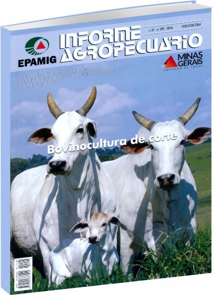 Informe Agropecuário - Bovinocultura de corte